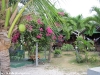 coral-beach-bungalow38